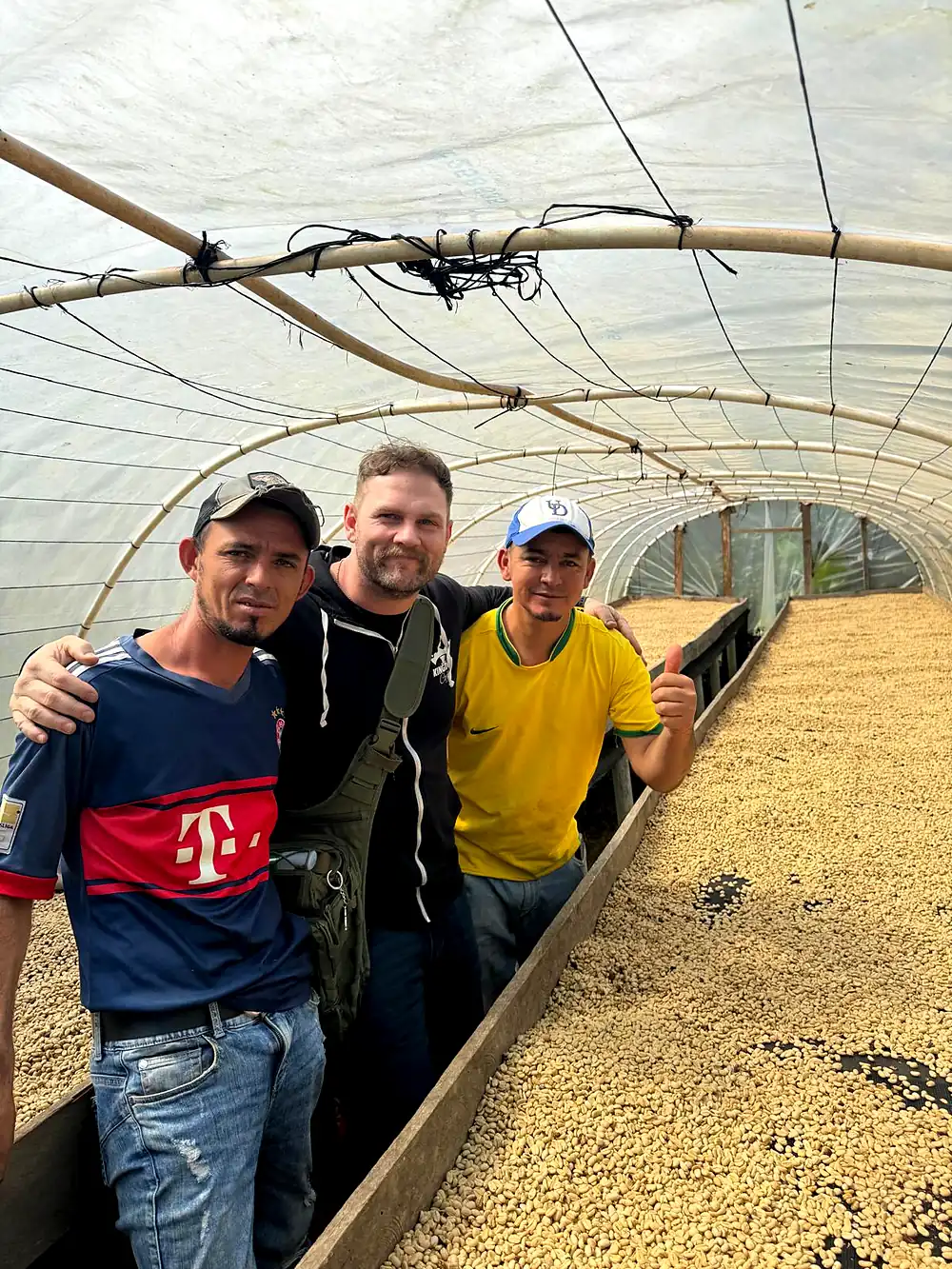 Two farm workers and a member of our team standing arm in arm beside the drying beds
